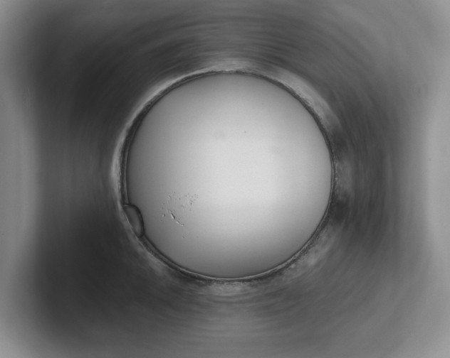 X0000102291046200808081519