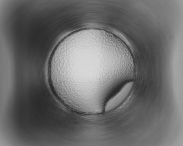 X0000102291048200808081519