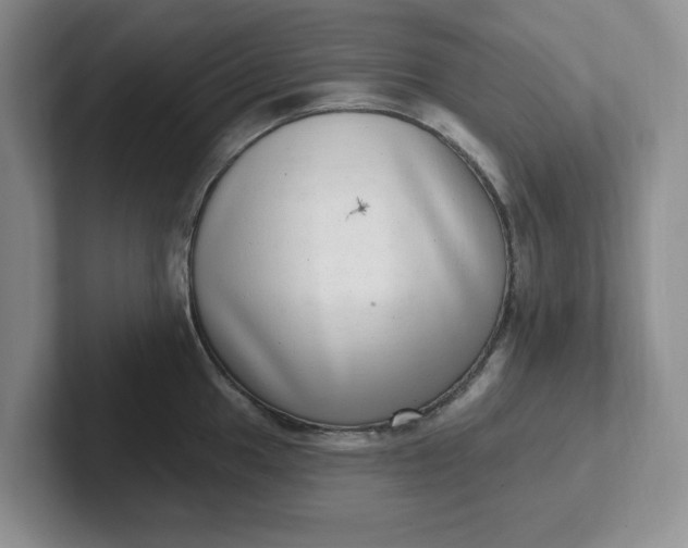 X0000102291049200808081519