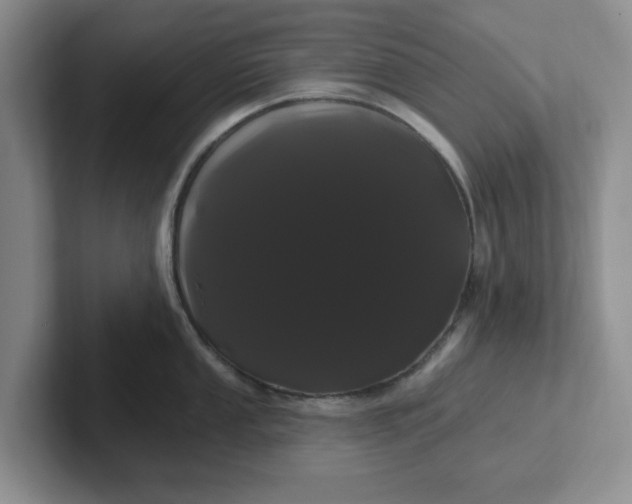 X0000102291053200808081519