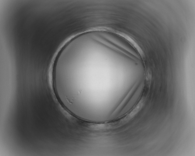 X0000102291054200808081519