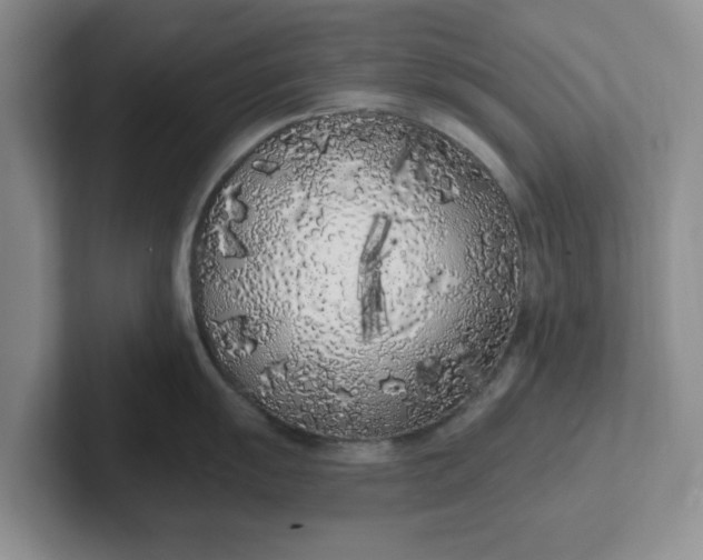 X0000102291055200808081519