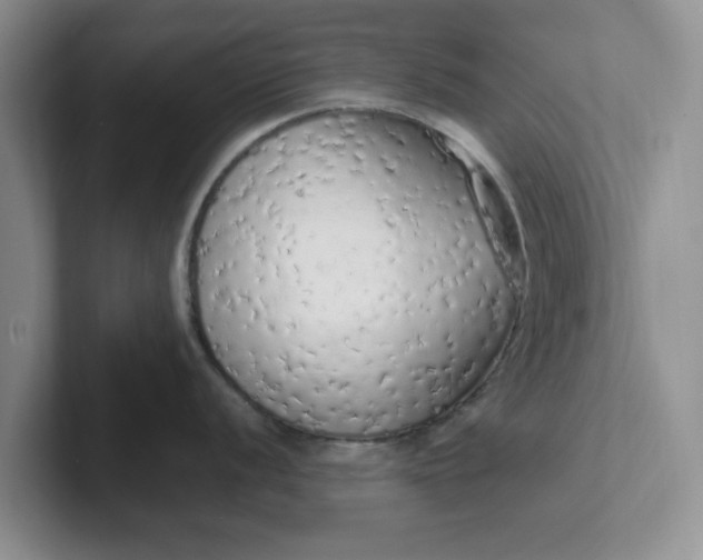 X0000102291056200808081519