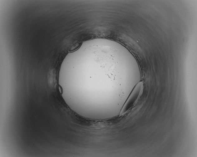 X0000102291058200808081518