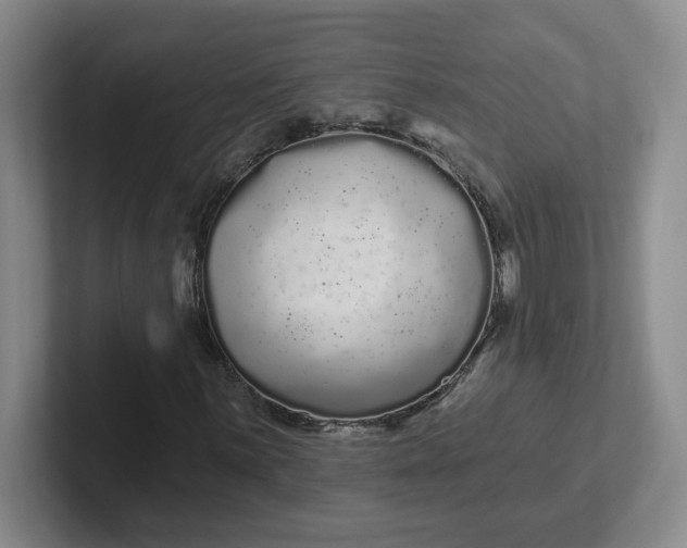 X0000102291059200808081518