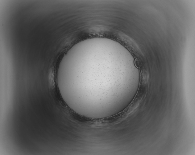 X0000102291060200808081518