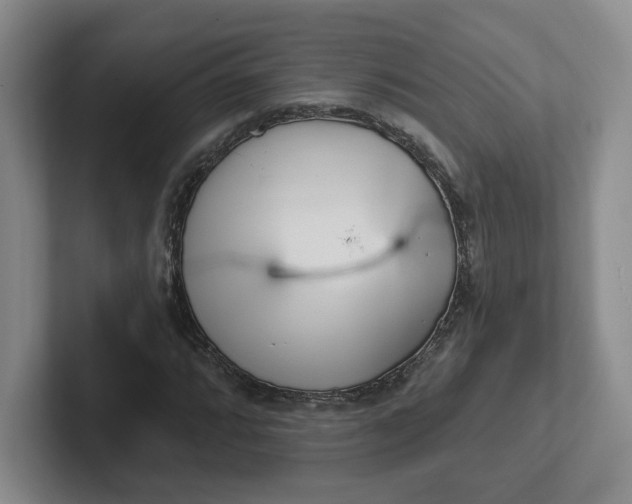 X0000102291064200808081518