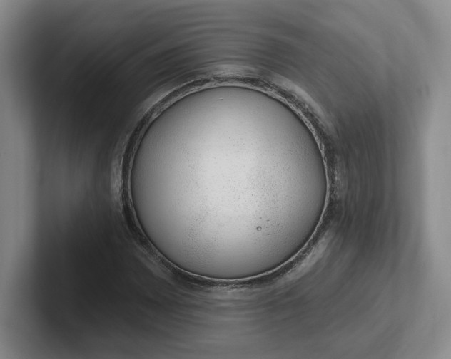 X0000102291065200808081518