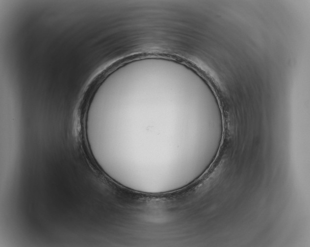 X0000102291070200808081518