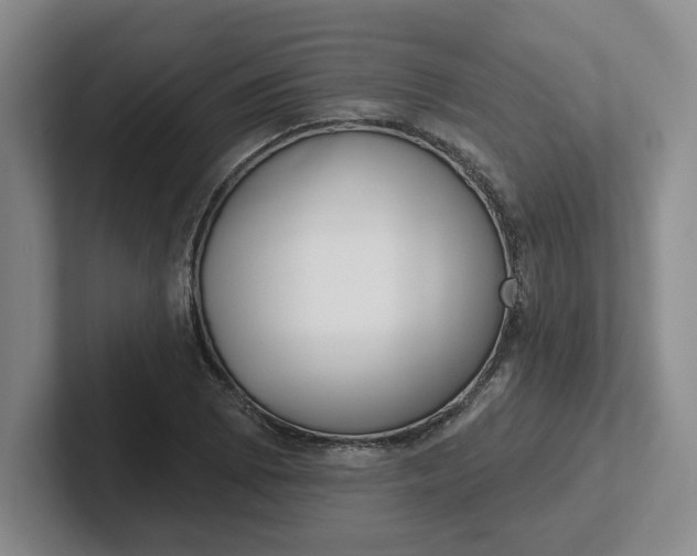 X0000102291073200808081518