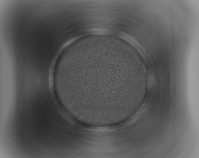 X0000102291074200808081518