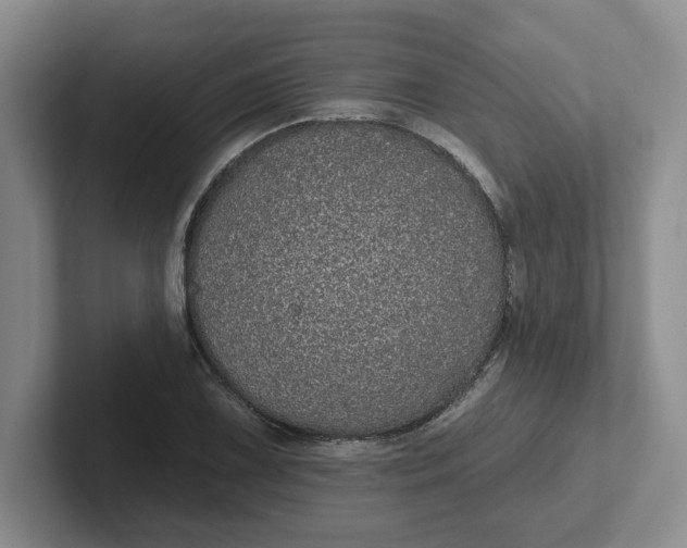 X0000102291075200808081518