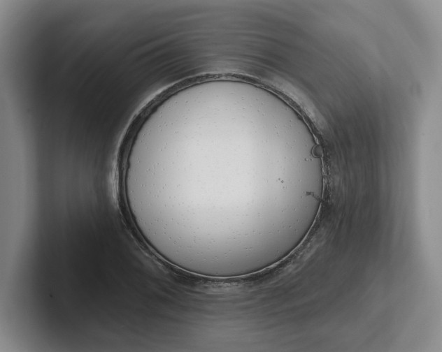 X0000102291076200808081518