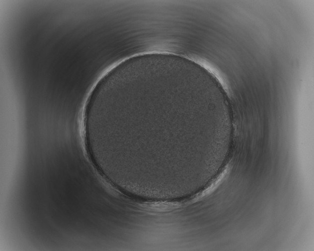 X0000102291077200808081518