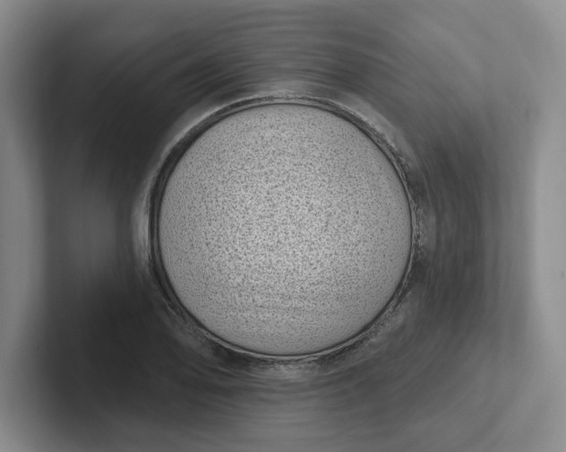 X0000102291078200808081518