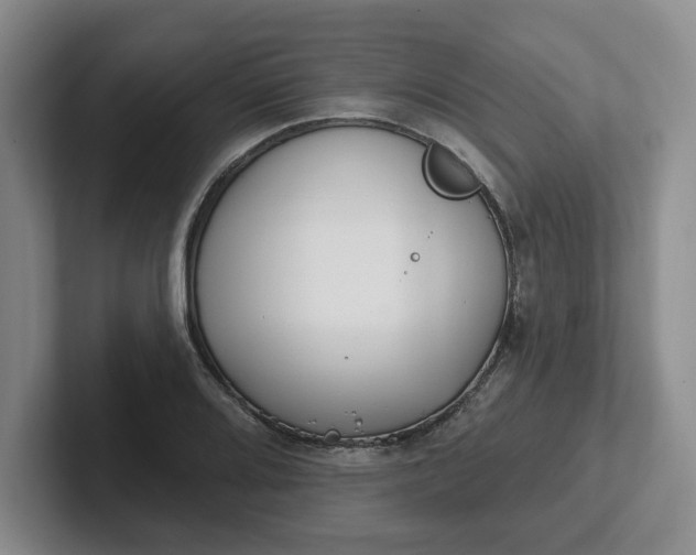 X0000102291080200808081518