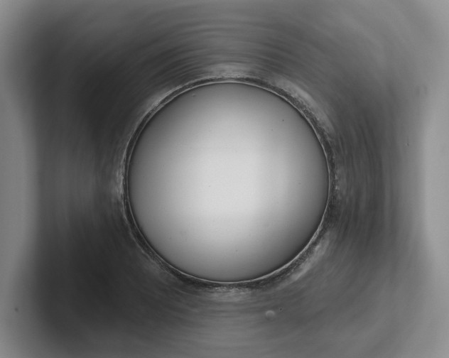 X0000102291081200808081518