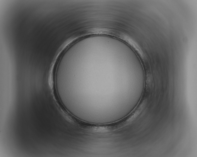 X0000102291082200808081518