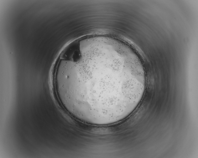 X0000102291083200808081518