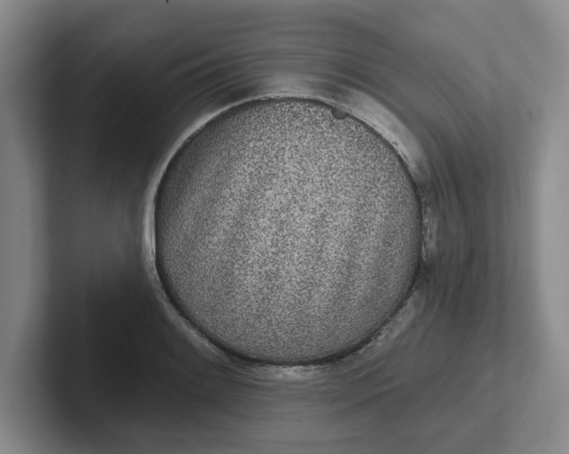 X0000102291084200808081518