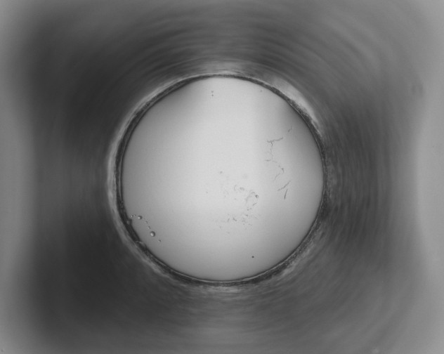 X0000102291088200808081518