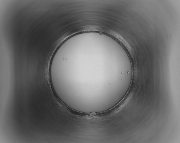 X0000102291089200808081518