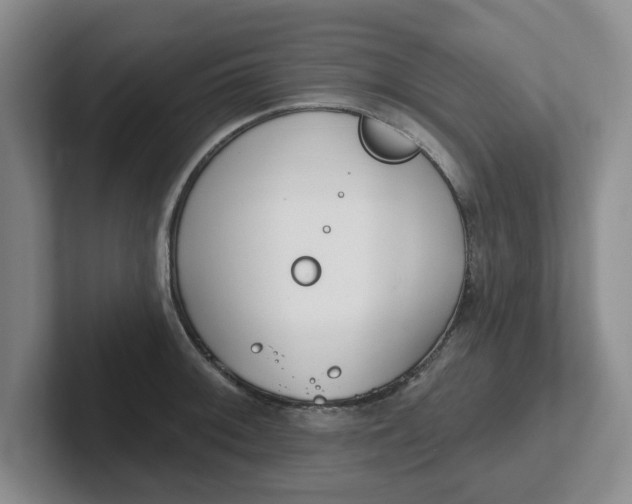 X0000102291092200808081518