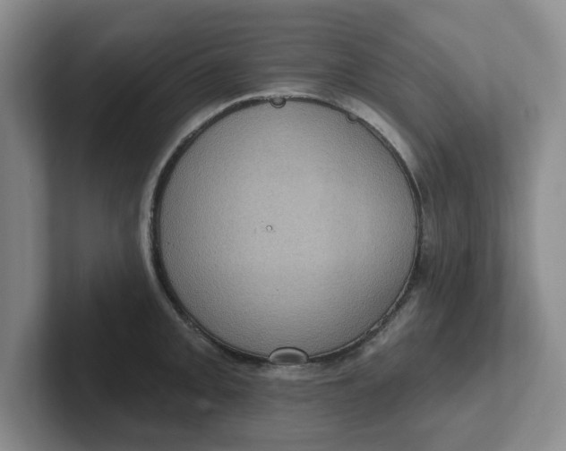 X0000102291093200808081518