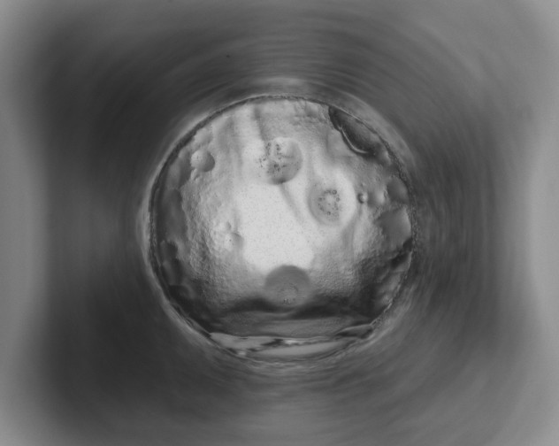 X0000102291095200808081518