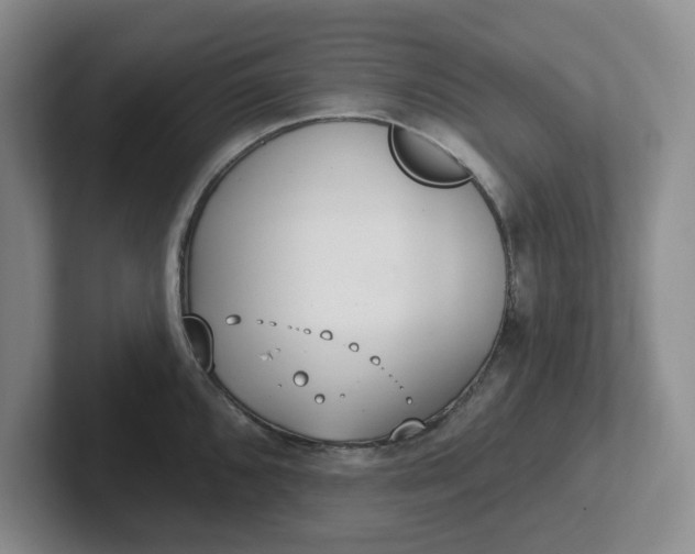 X0000102291096200808081518