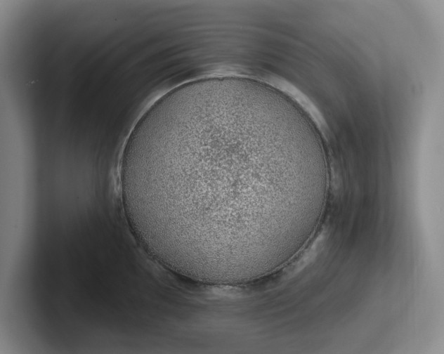 X0000102291097200808081518