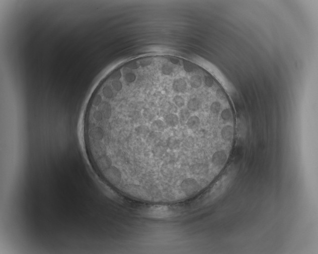 X0000102291098200808081518