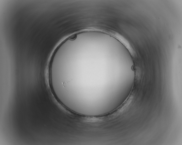 X0000102291100200808081518