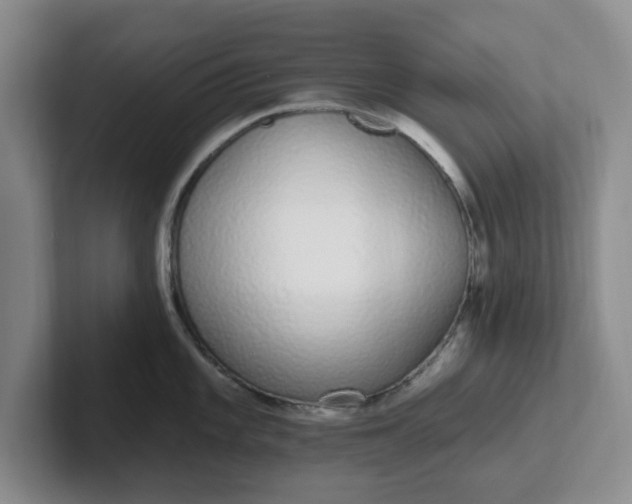 X0000102291101200808081518