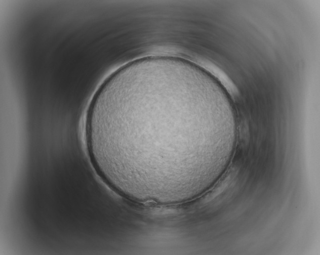 X0000102291103200808081518