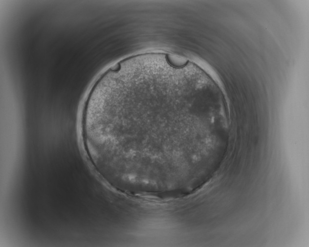 X0000102291104200808081518