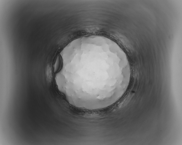 X0000102291106200808081517