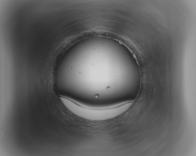 X0000102291110200808081517