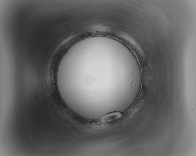 X0000102291112200808081517