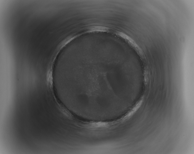 X0000102291113200808081517