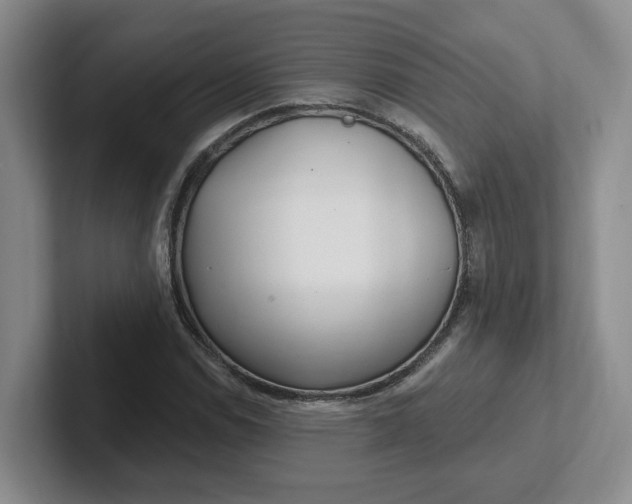 X0000102291114200808081517