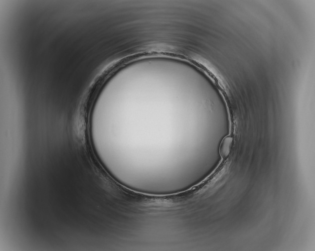 X0000102291115200808081517