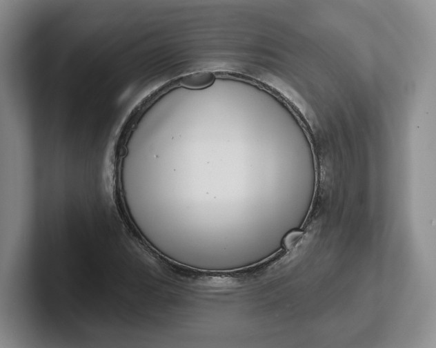 X0000102291119200808081517