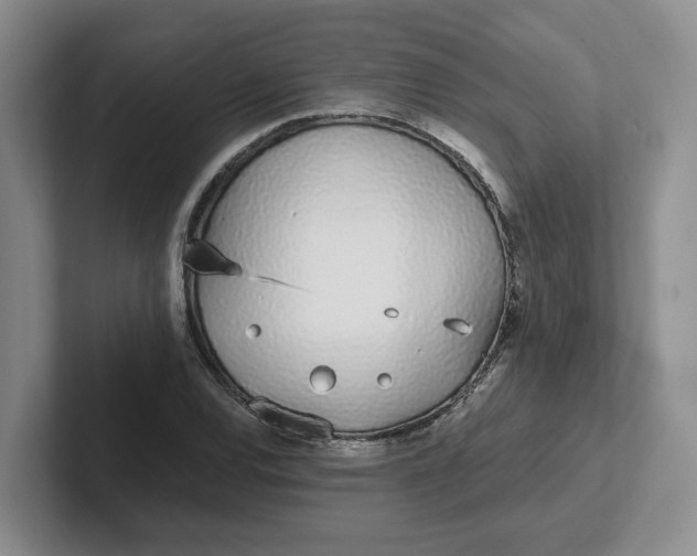 X0000102291120200808081517