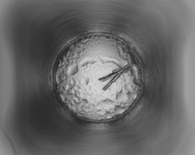 X0000102291121200808081517