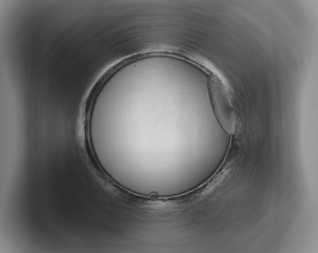 X0000102291124200808081517