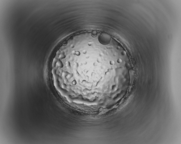 X0000102291125200808081517