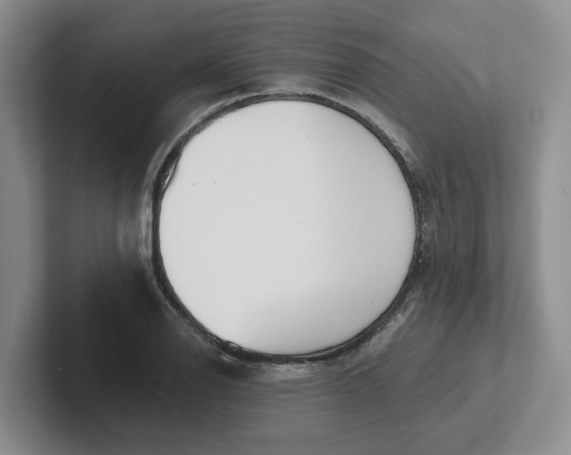 X0000102291126200808081517