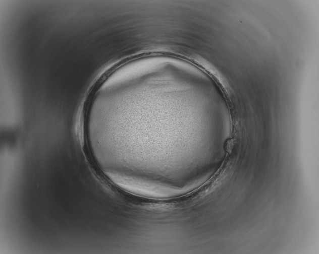 X0000102291127200808081517