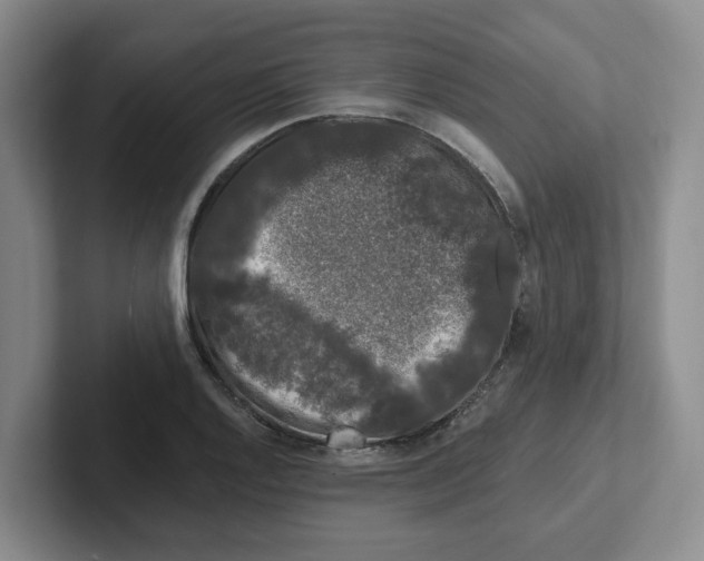 X0000102291128200808081517